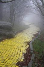 YellowBrickRoad